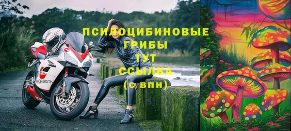 mix Армянск