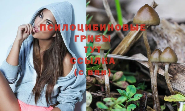 мяу мяу мука Арсеньев