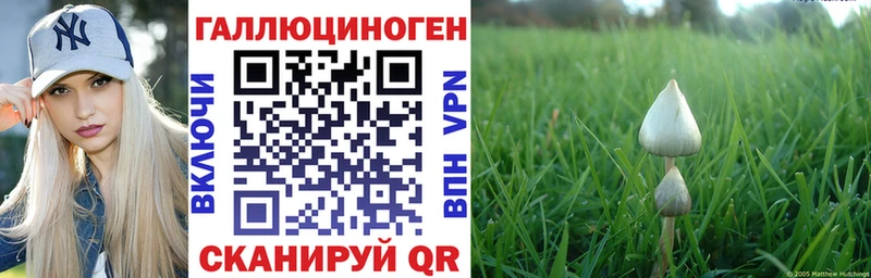 Галлюциногенные грибы прущие грибы  где купить наркотик  omg маркетплейс  Петушки 